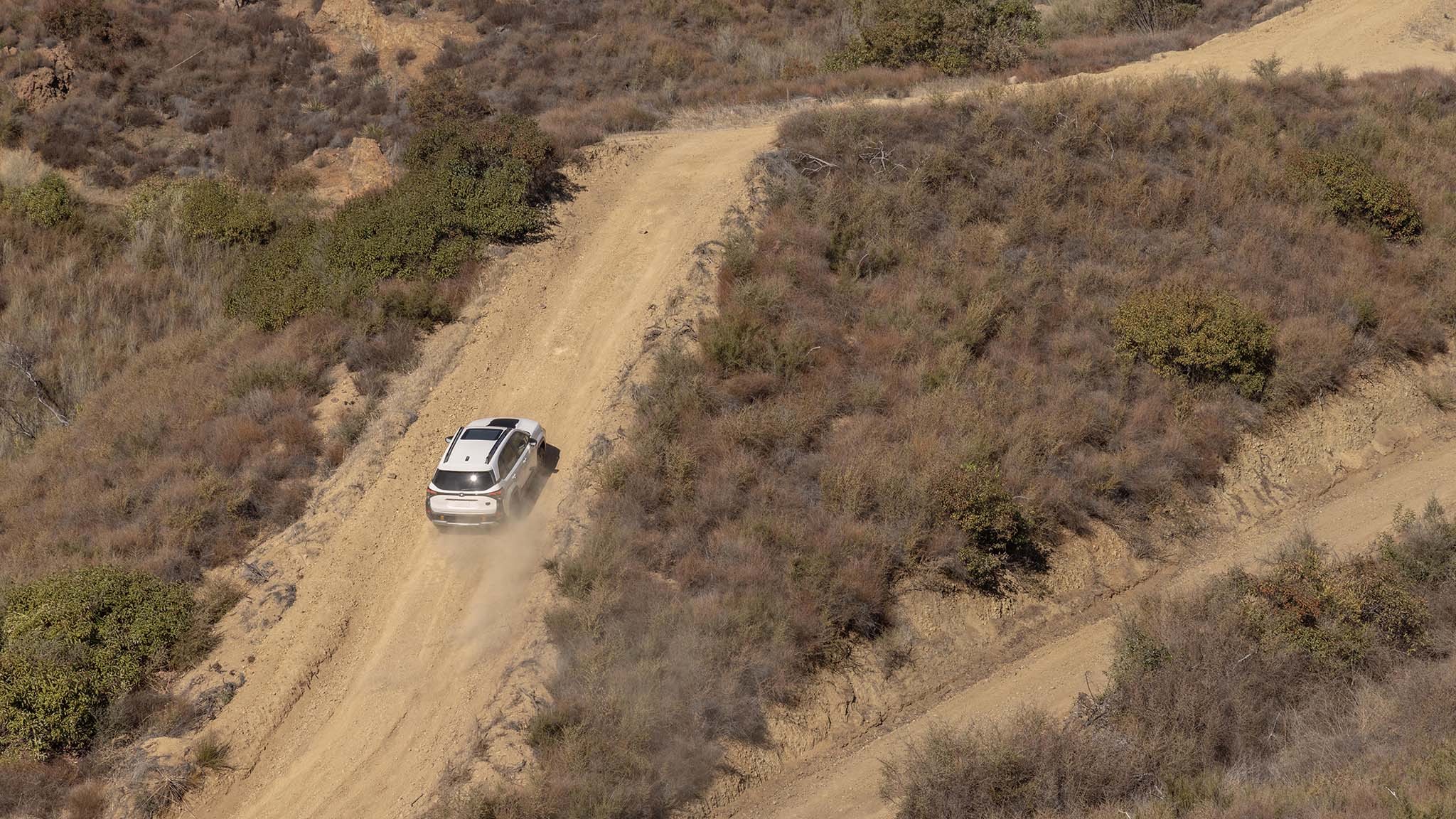 027 2026 subaru forester wilderness