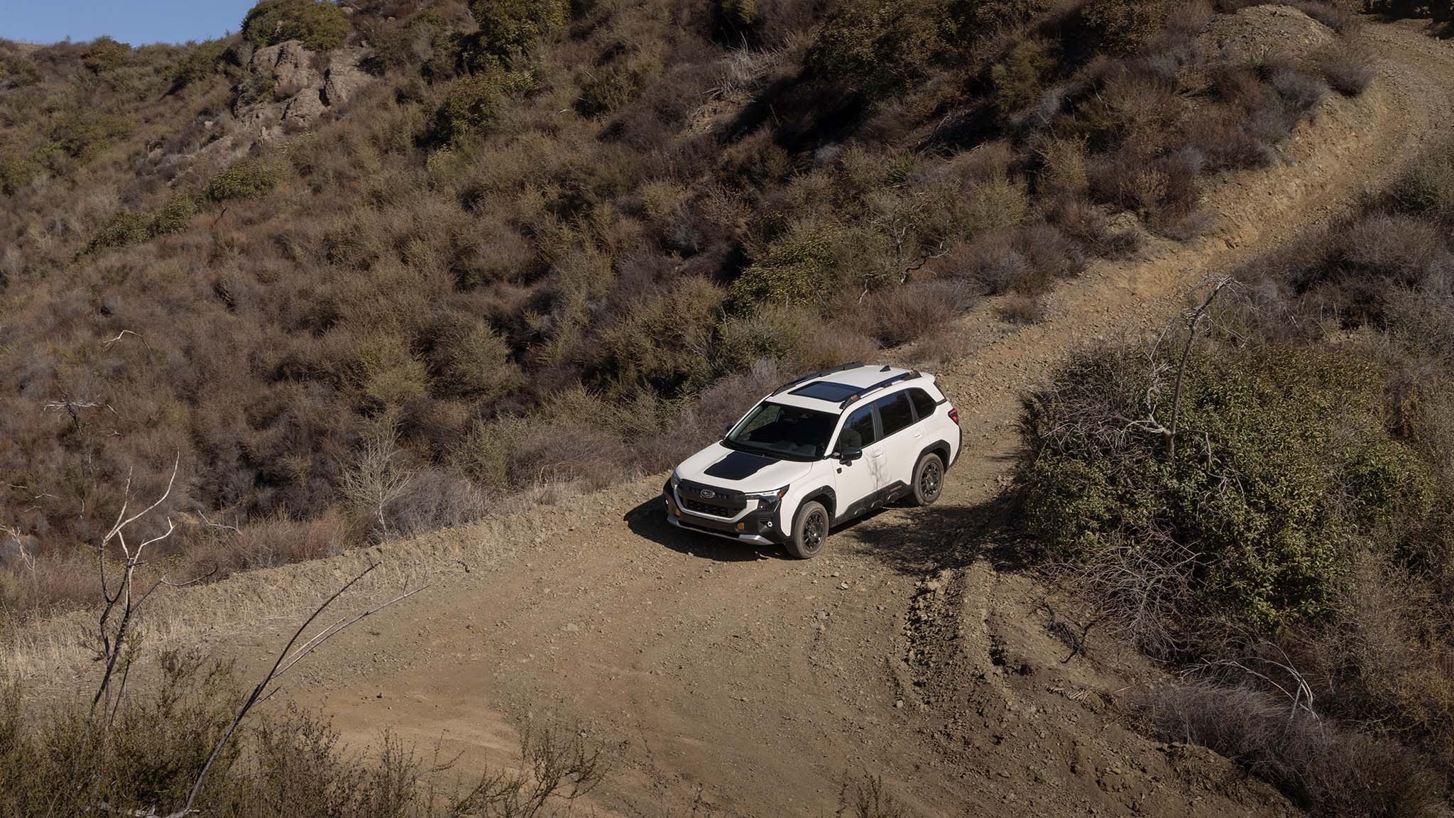 029 2026 subaru forester wilderness