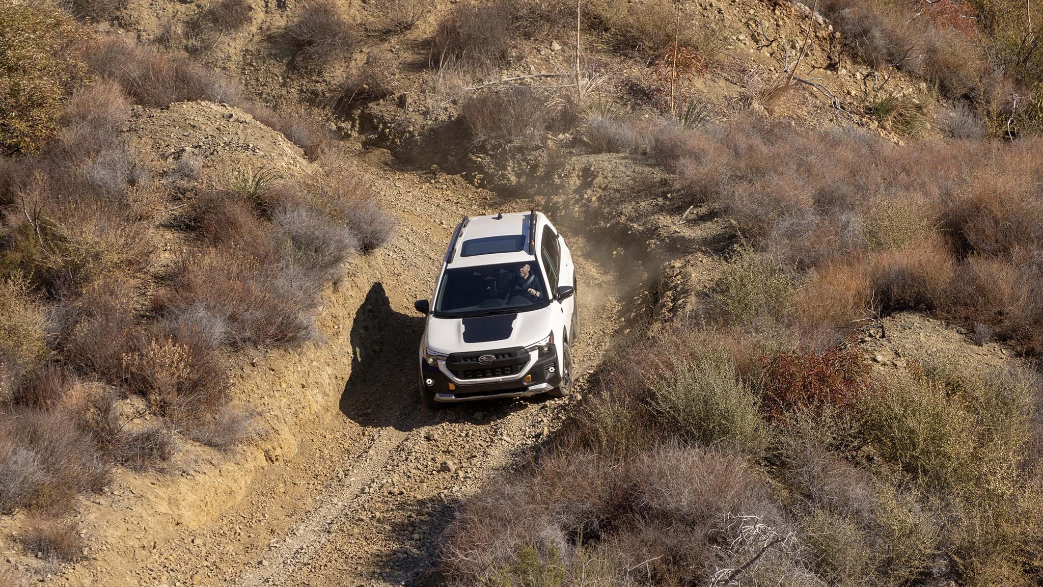 032 2026 subaru forester wilderness