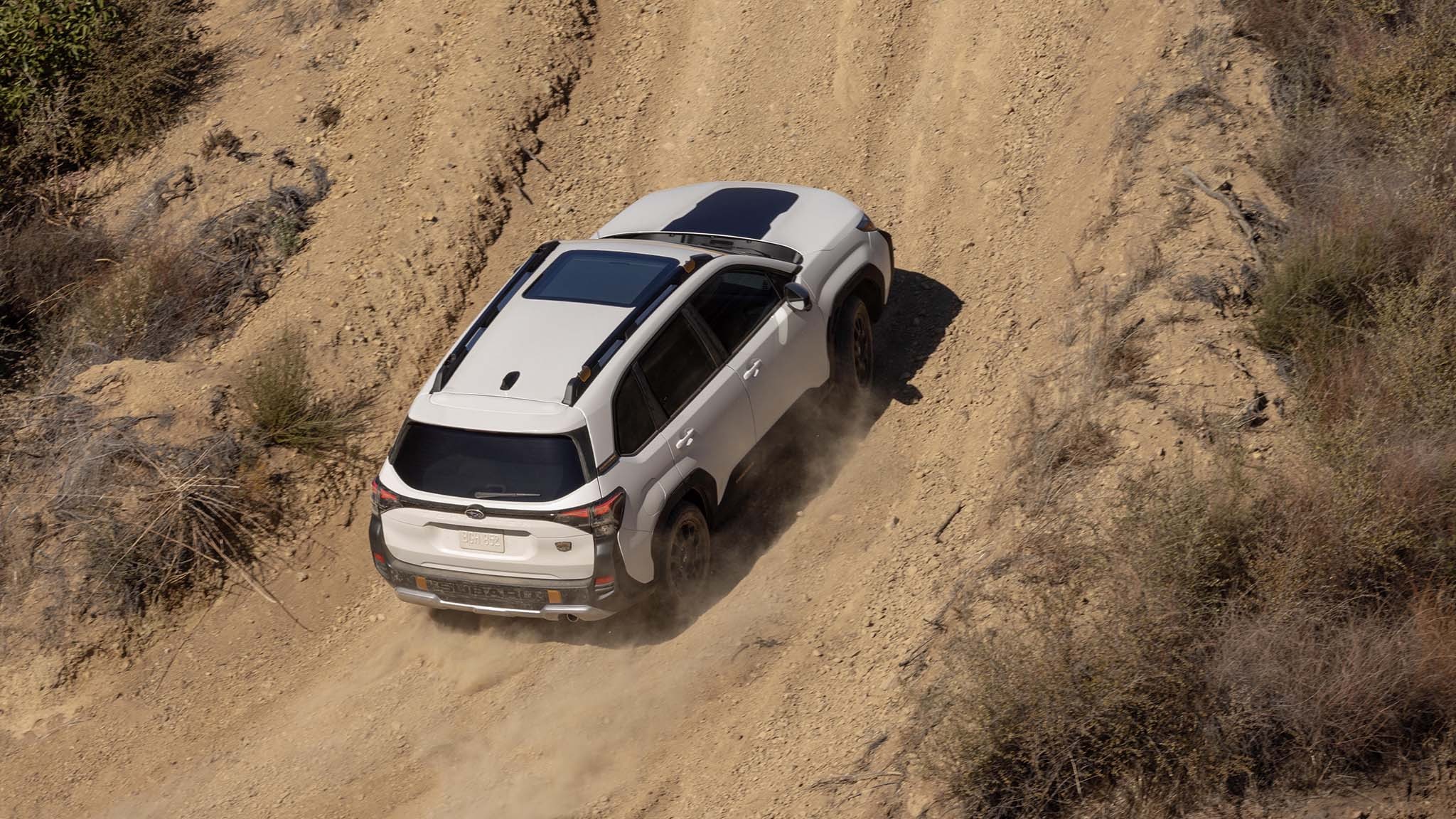 034 2026 subaru forester wilderness