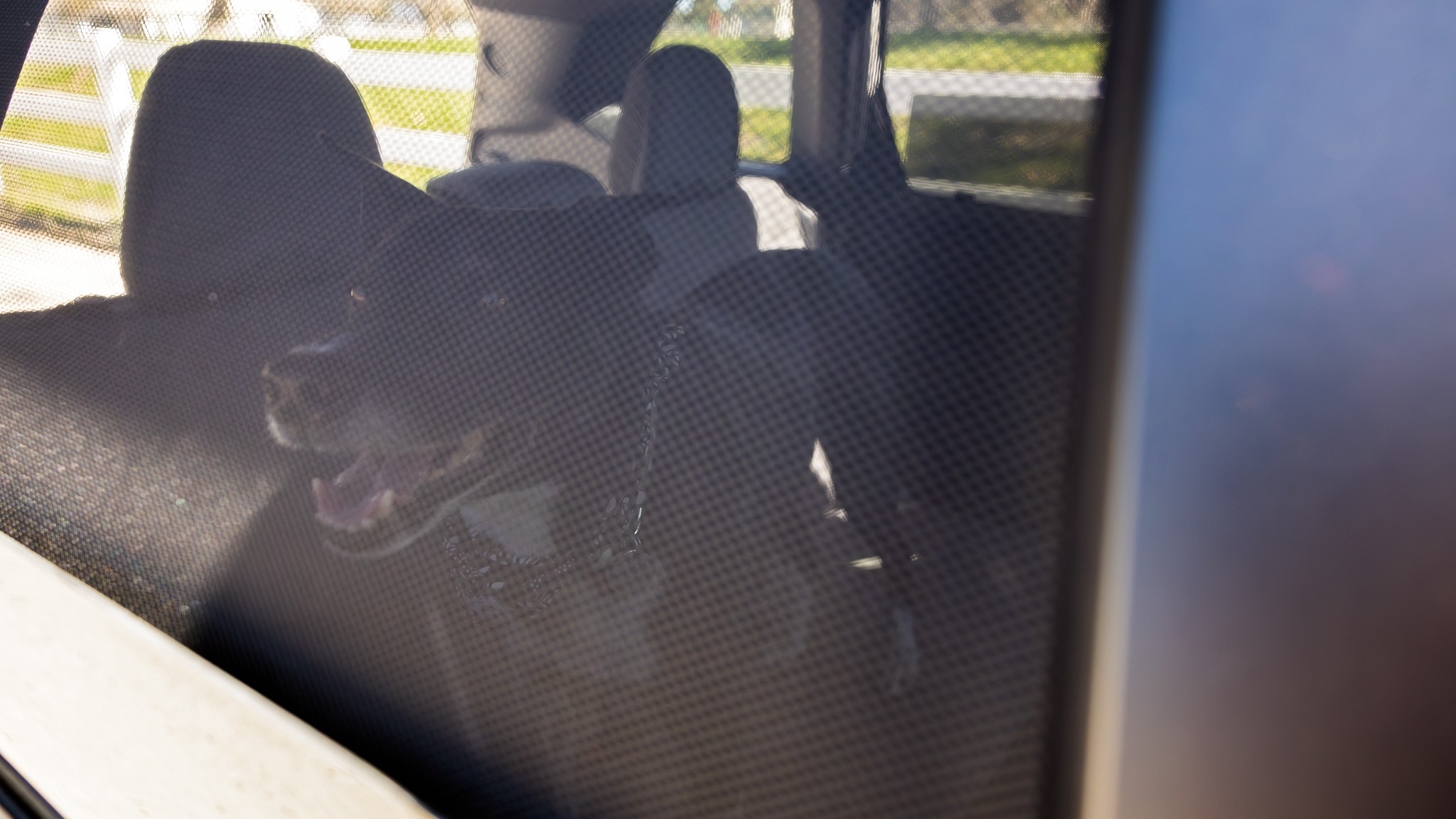 008 2025 Subaru Forester Sport Dog Accessories