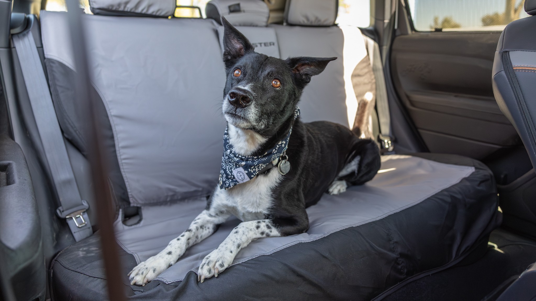 010 2025 Subaru Forester Sport Dog Accessories Seat Cover