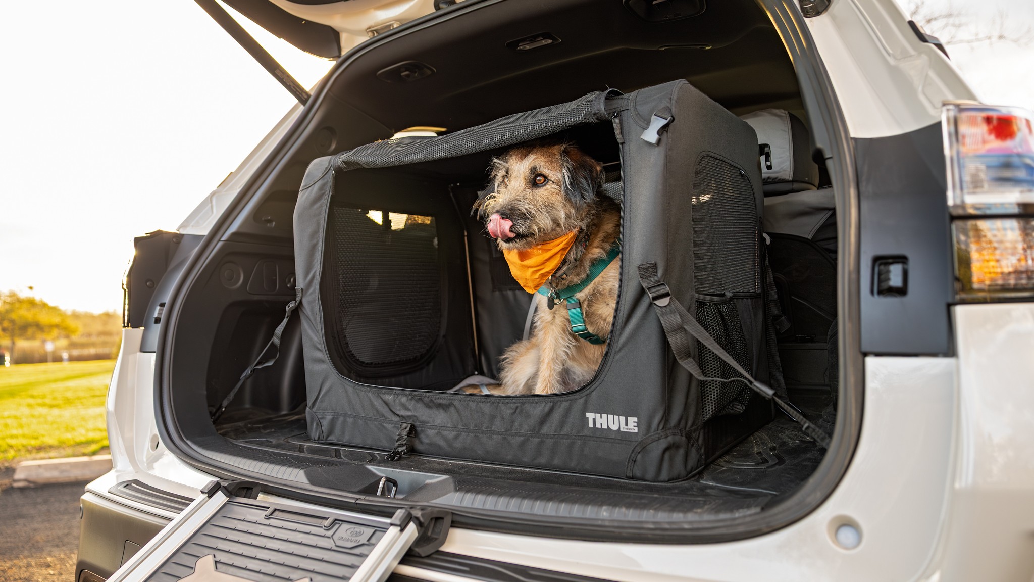 015 2025 Subaru Forester Sport Dog Accessories Dog Kennel