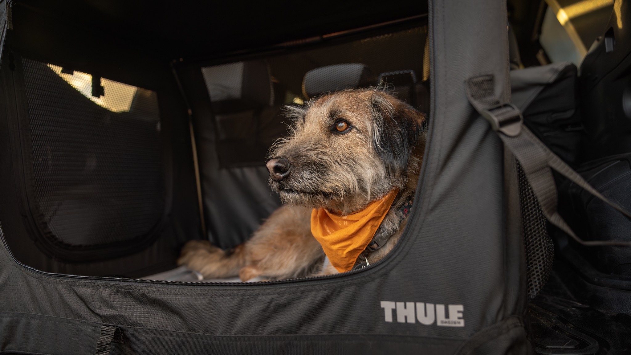 016 2025 Subaru Forester Sport Dog Accessories