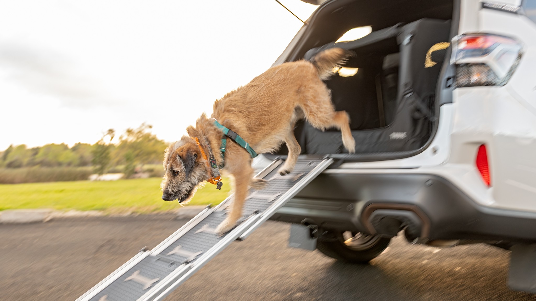 018 2025 Subaru Forester Sport Dog Accessories