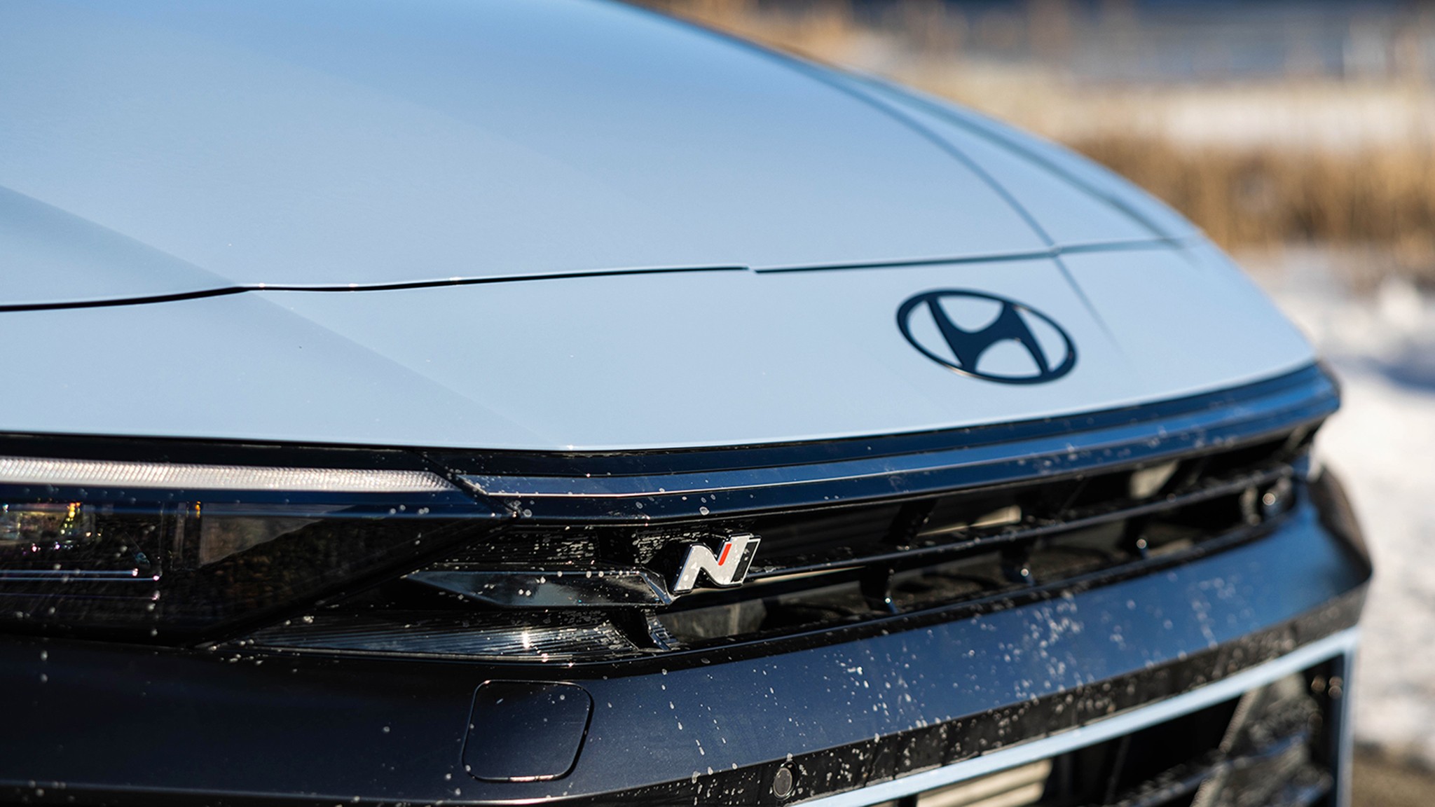 31 2025 Hyundai Elantra N KL