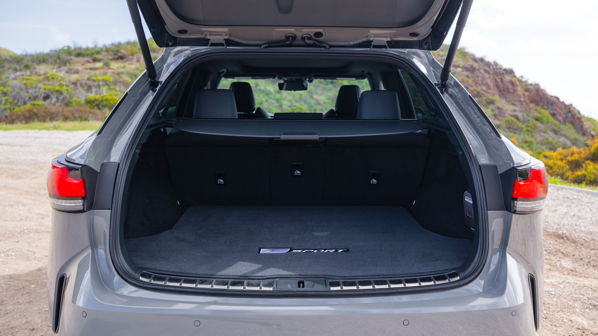 025 2025 Lexus RX500h