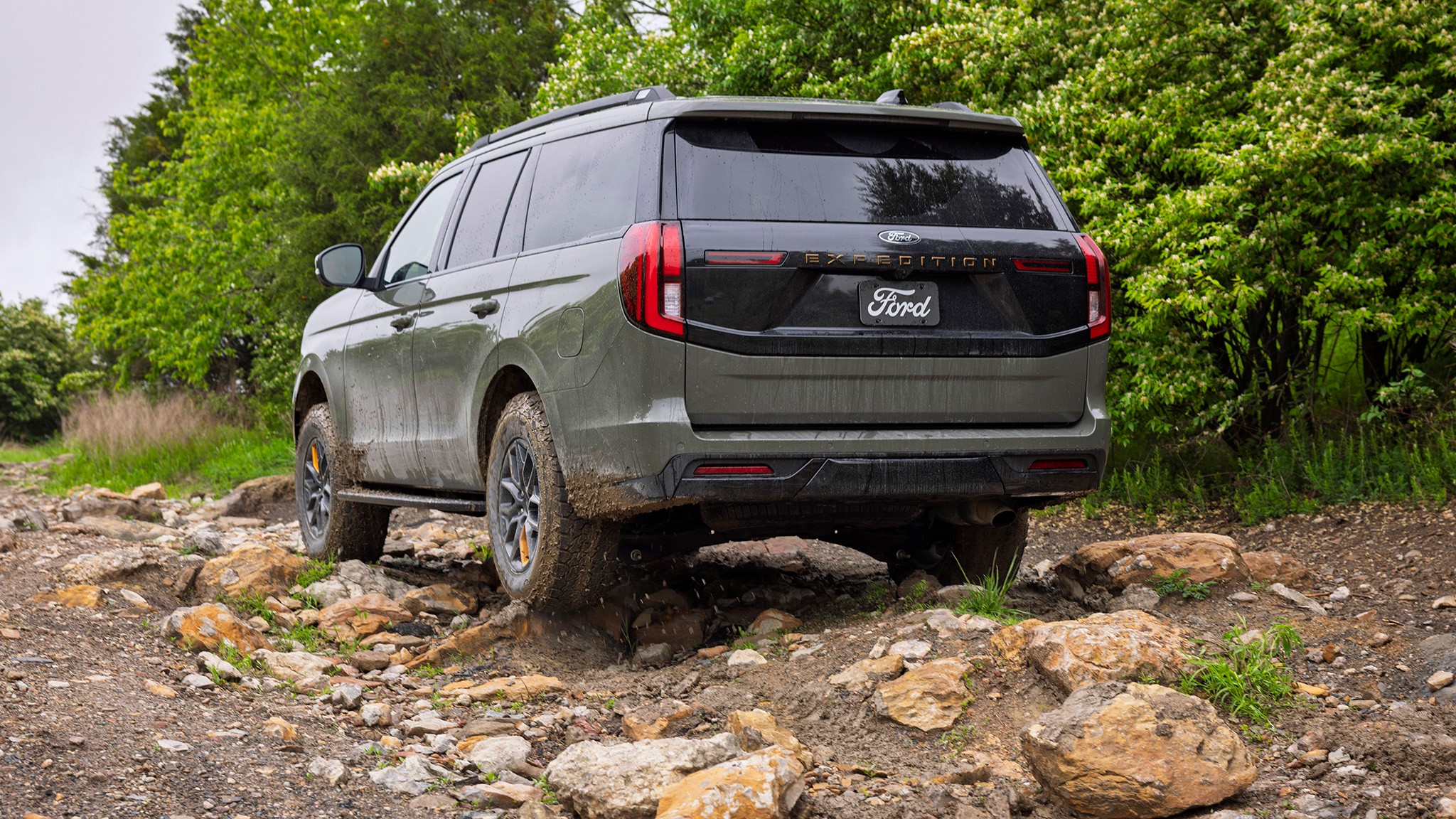 19 2025 Ford Expedition off road rear view