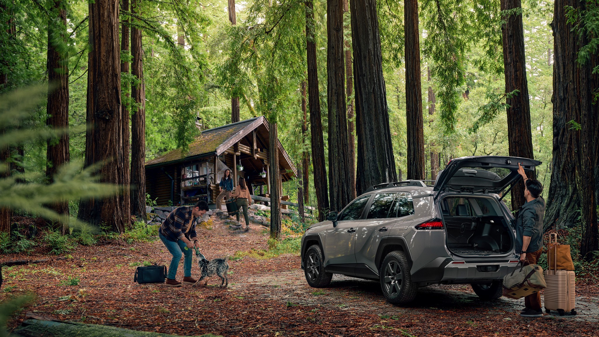 2026 Toyota Rav4 Hybrid SUV Crossover 14