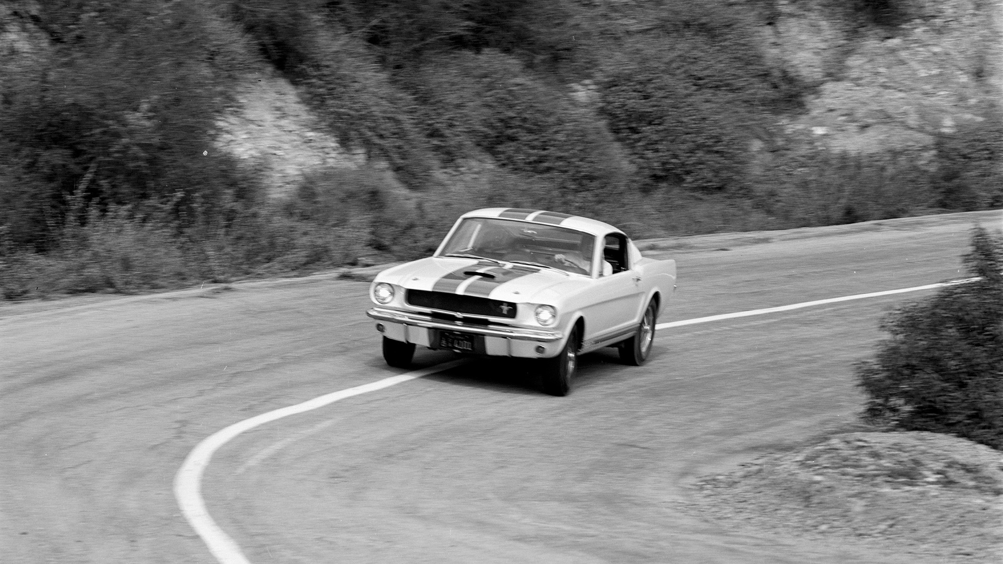 001 1965 ford shelby mustang gt350