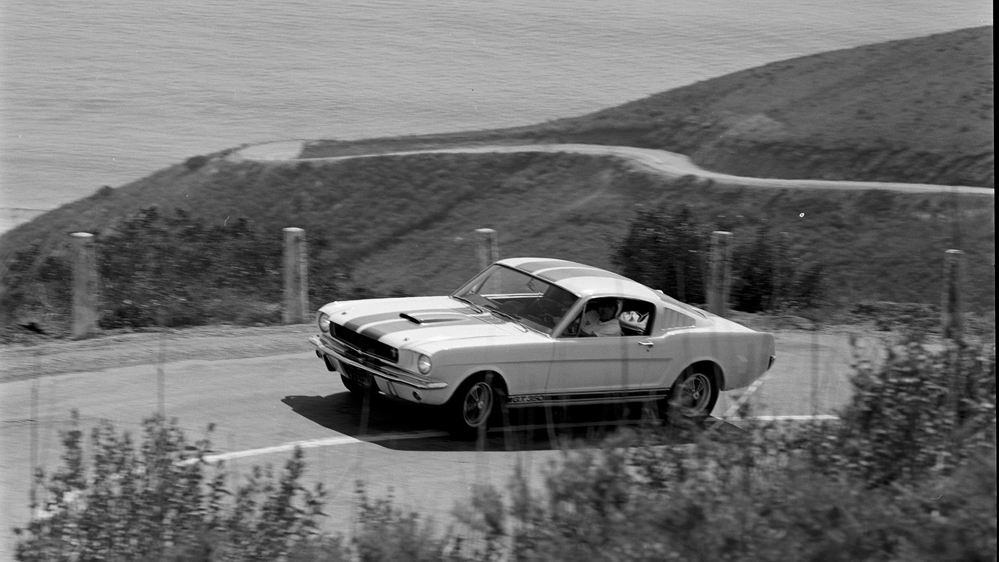 002 1965 ford shelby mustang gt350