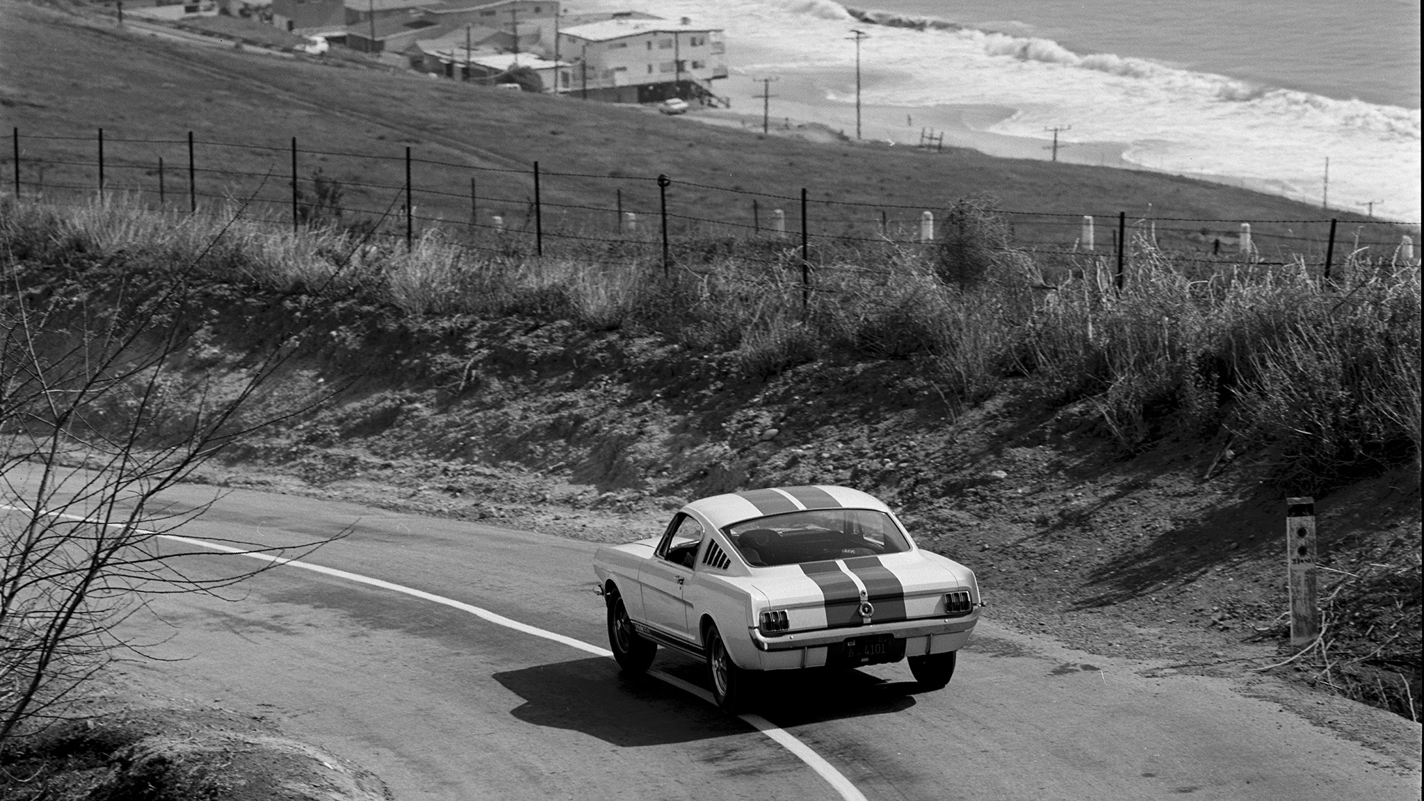 003 1965 ford shelby mustang gt350