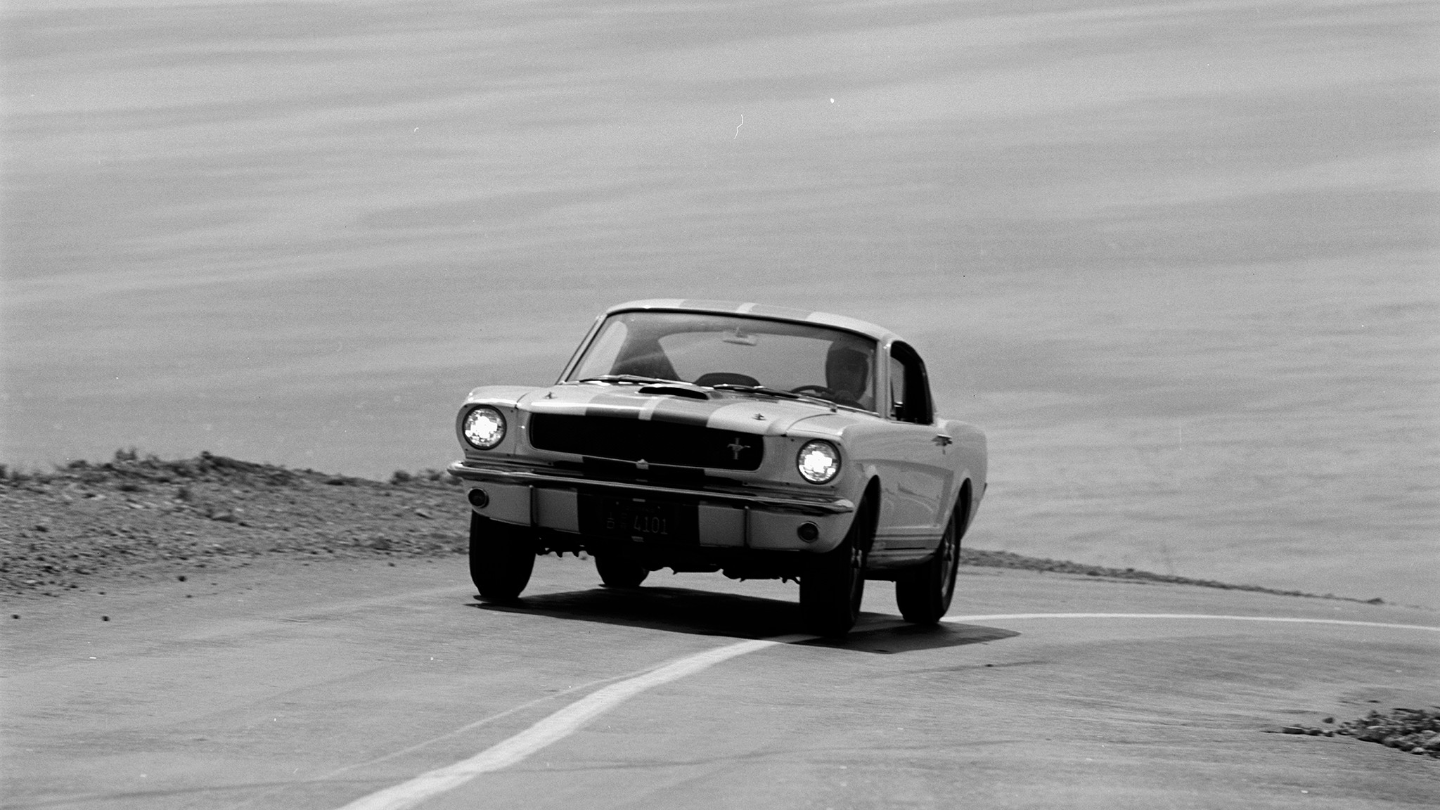 004 1965 ford shelby mustang gt350