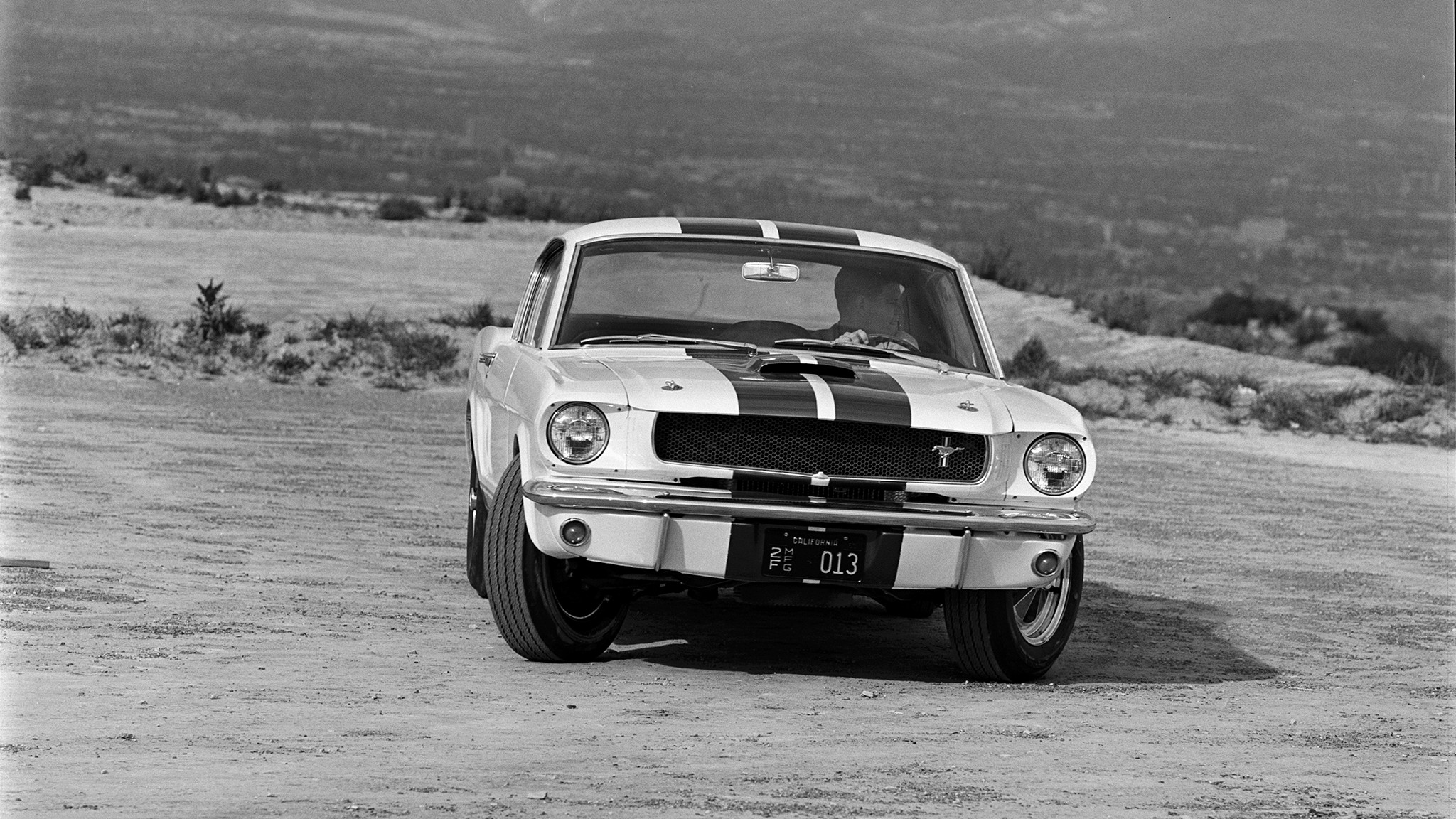 008 1965 ford shelby mustang gt350