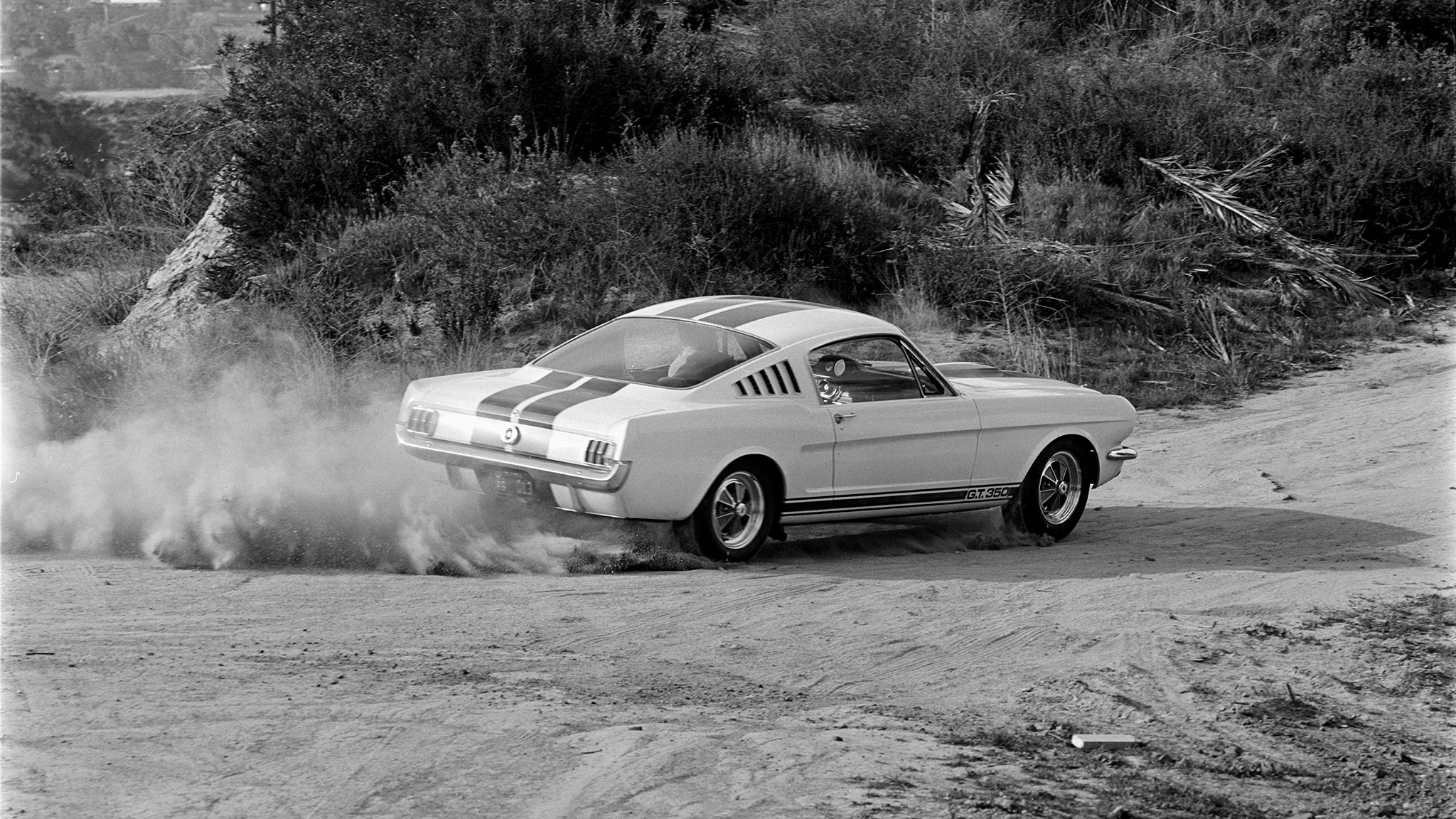 010 1965 ford shelby mustang gt350