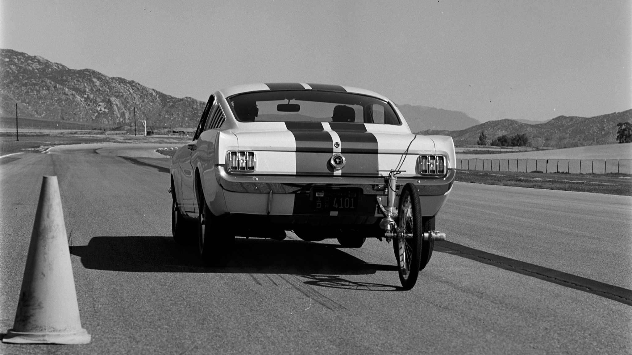 015 1965 ford shelby mustang gt350