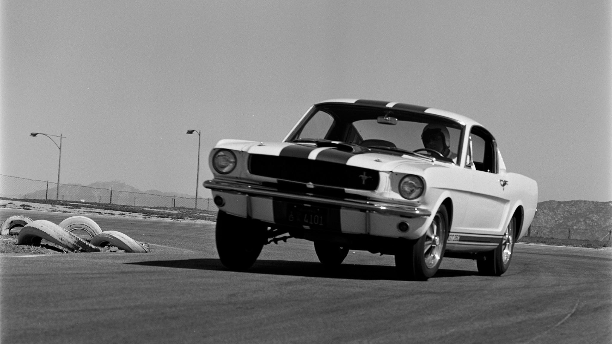 019 1965 ford shelby mustang gt350