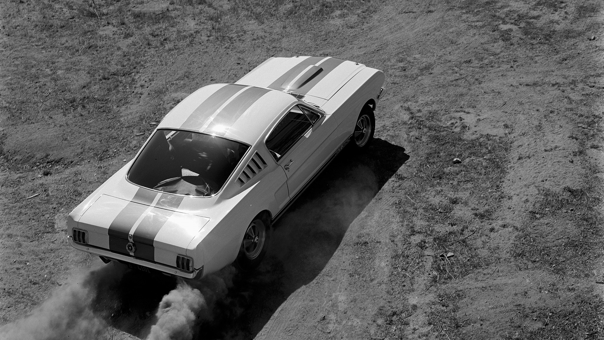 020 1965 ford shelby mustang gt350