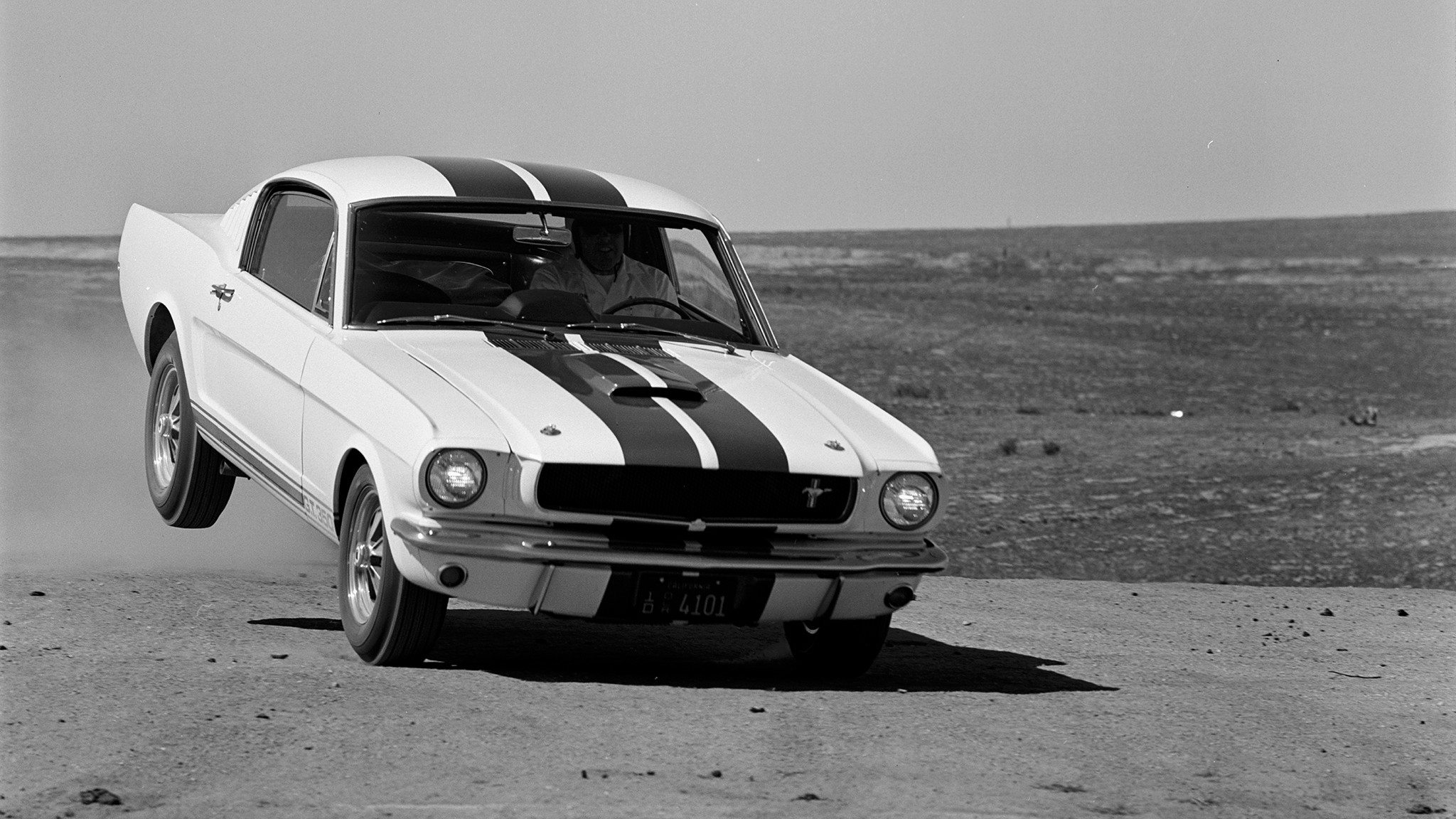 023 1965 ford shelby mustang gt350