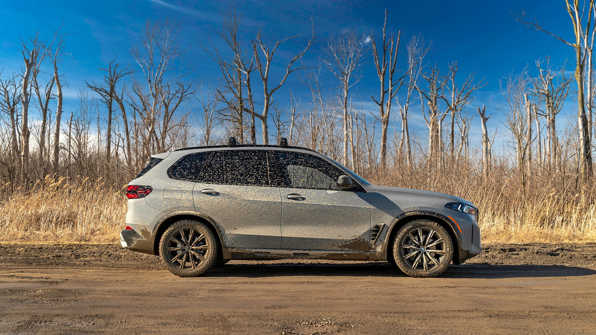 015 2025 BMW X5 xDrive40i Silver Anniversary Edition