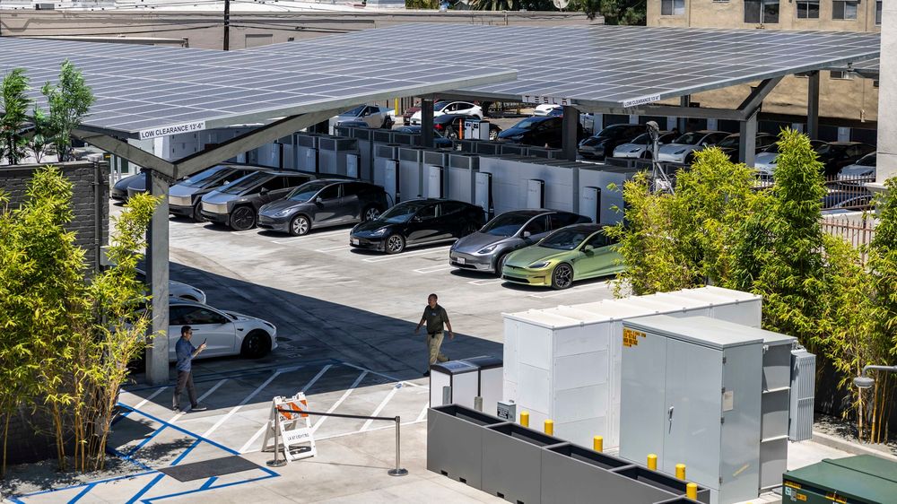 25 Tesla Diner Review 2025