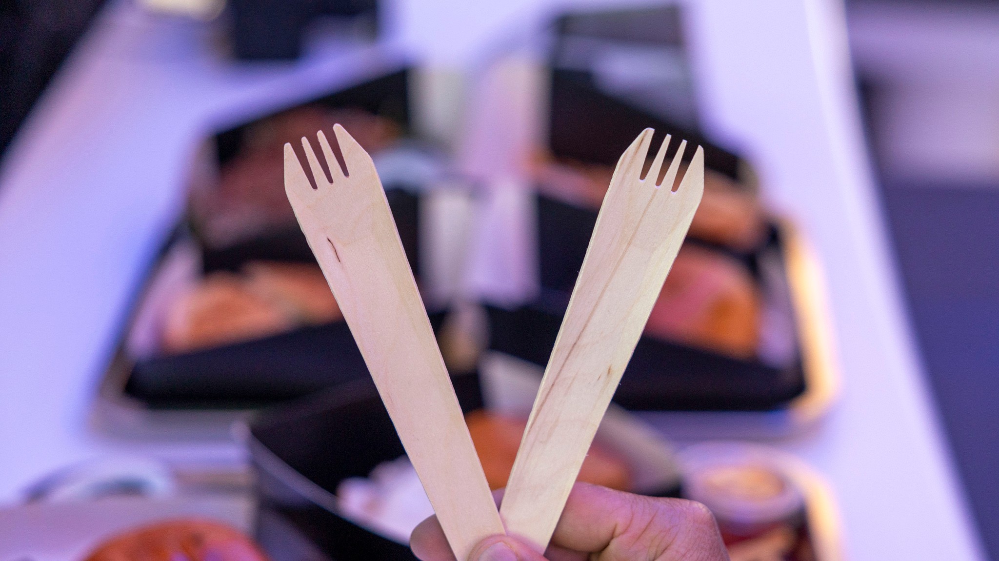 15 Tesla Diner Review 2025