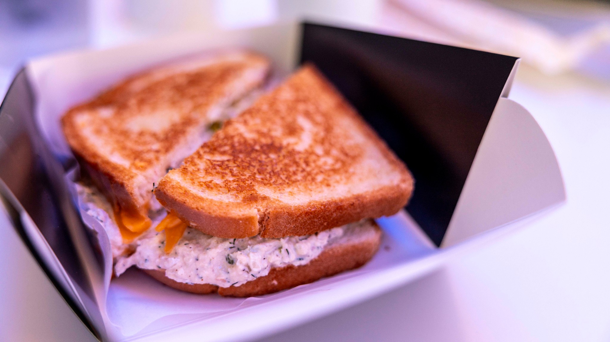 16 Tesla Diner Review 2025