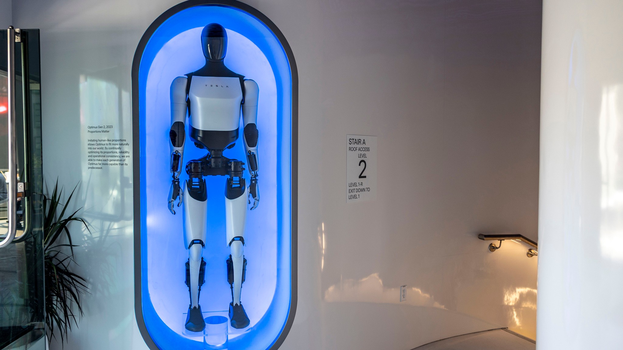 28 Tesla Diner Review 2025