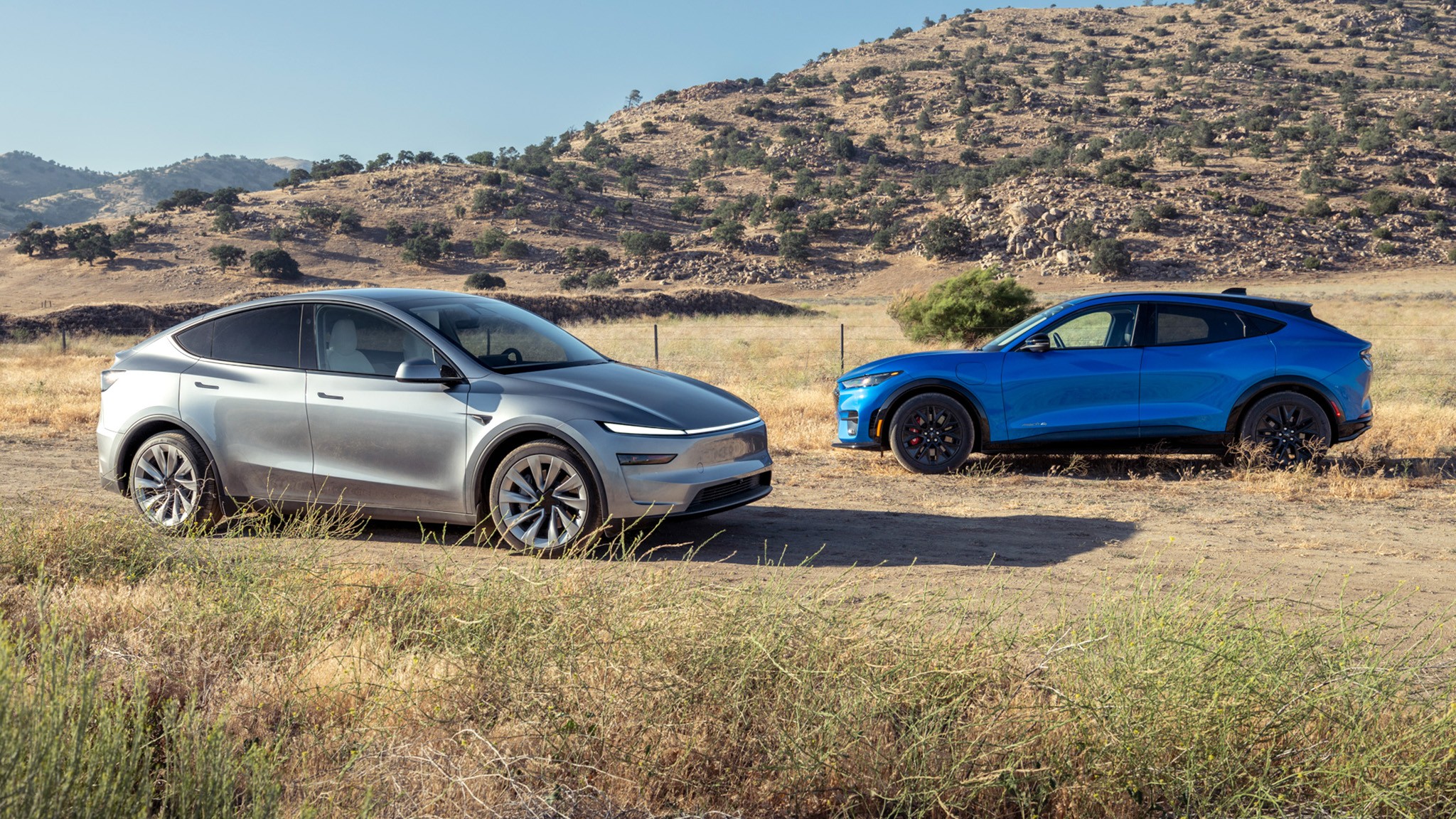 004 2025 Ford Mustang Mach E vs Tesla Model Y