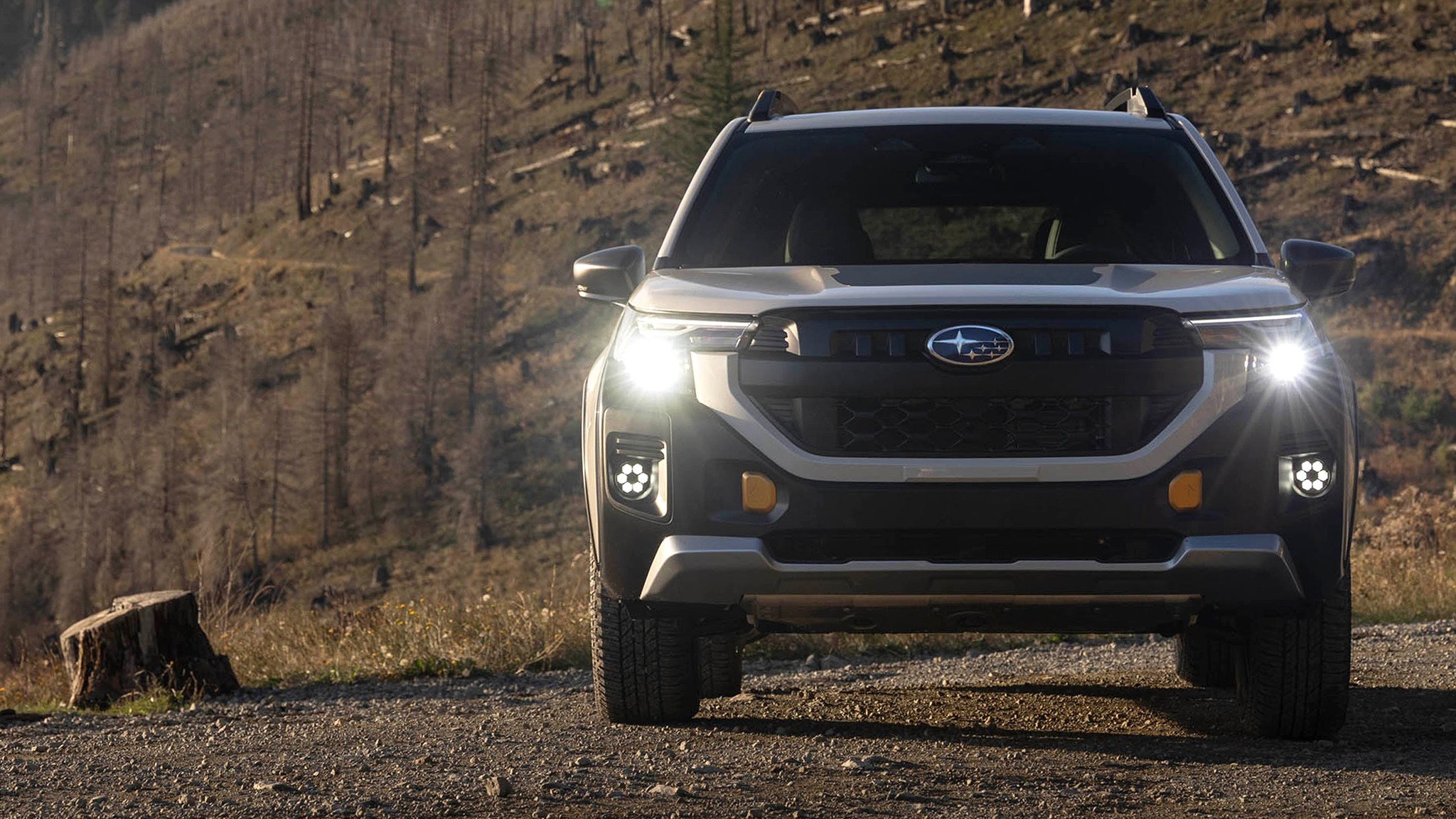 2026 Subaru Forester Wilderness 67