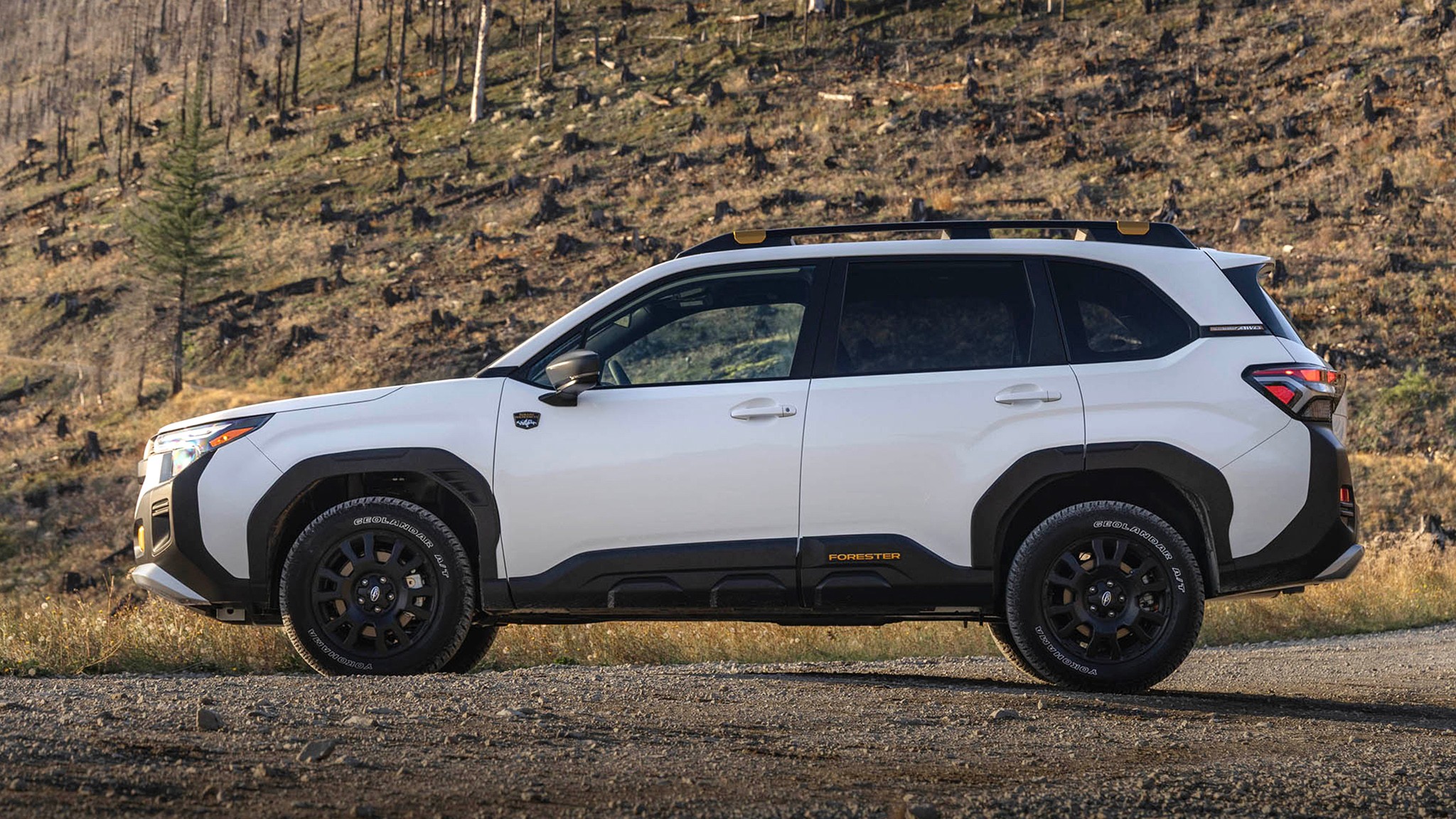 2026 Subaru Forester Wilderness 70