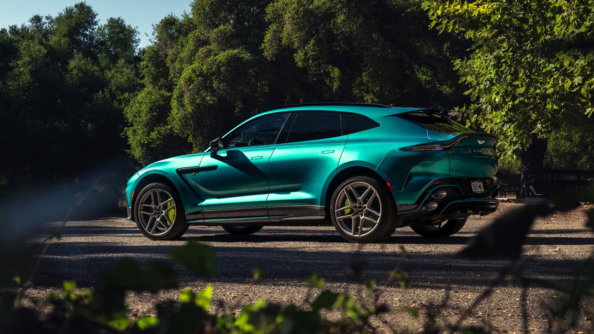 06 2026 Aston Martin DBX S Podium Green Pinstripe