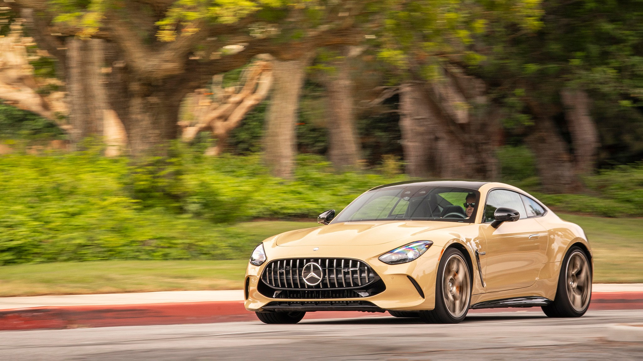 002 2025 Mercedes Benz AMG GT 63S Coupe