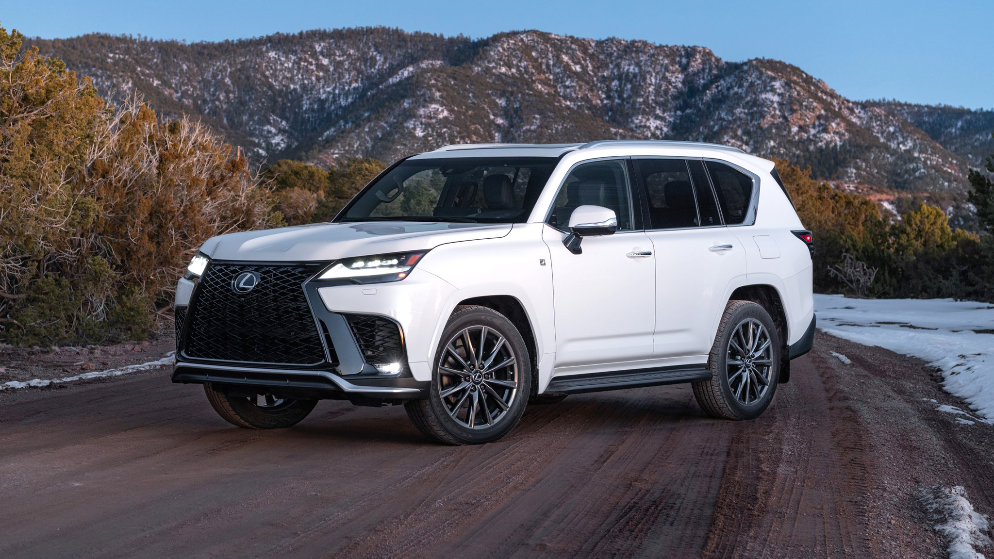 2024 Lexus LX